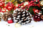 Women’s Watches Gift Guide for 2012