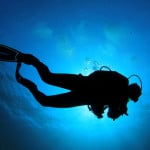 Seiko Divers Watches