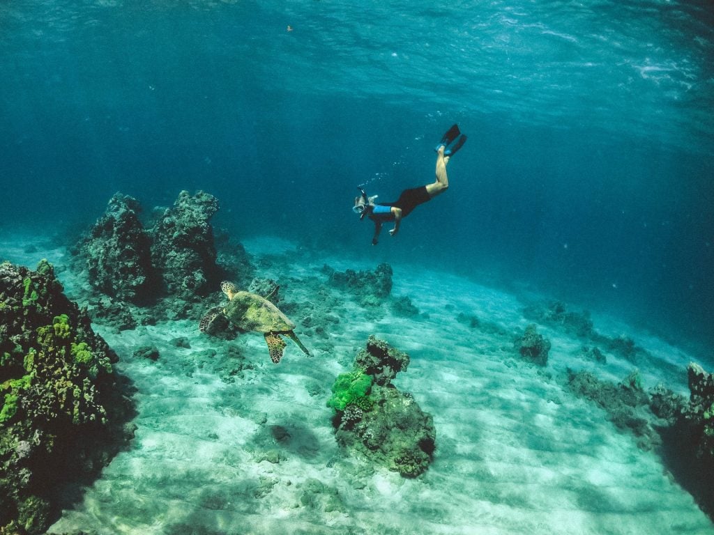 The Allure Of Diving Watches For Divers and Non-Divers