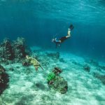 The Allure Of Diving Watches For Divers and Non-Divers