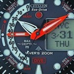 Diver watch