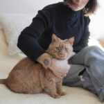Cat Hair Watch