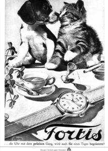 Fortis cat and dog poster