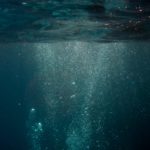 Watches that work under water