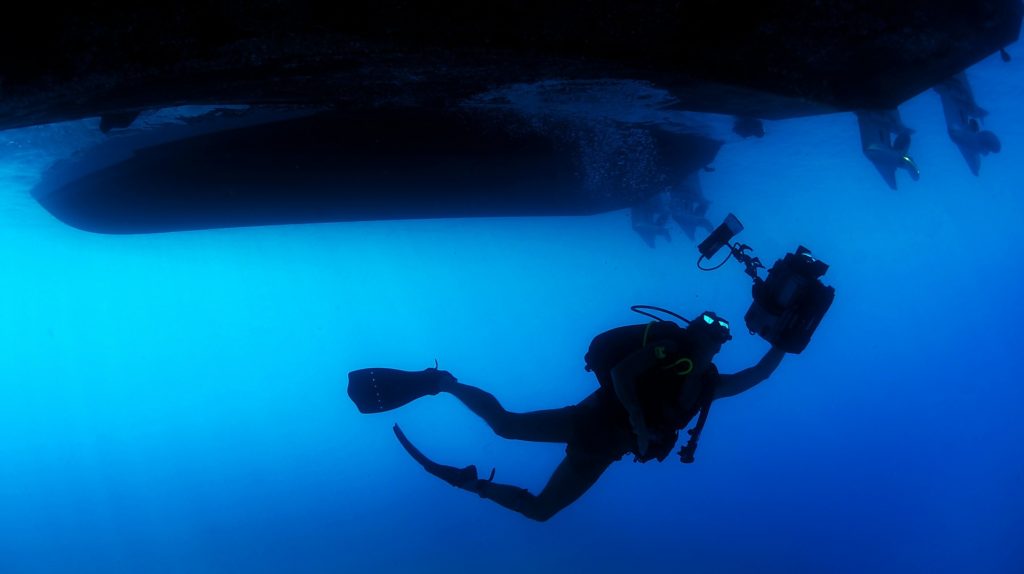 Professional Diving Watches