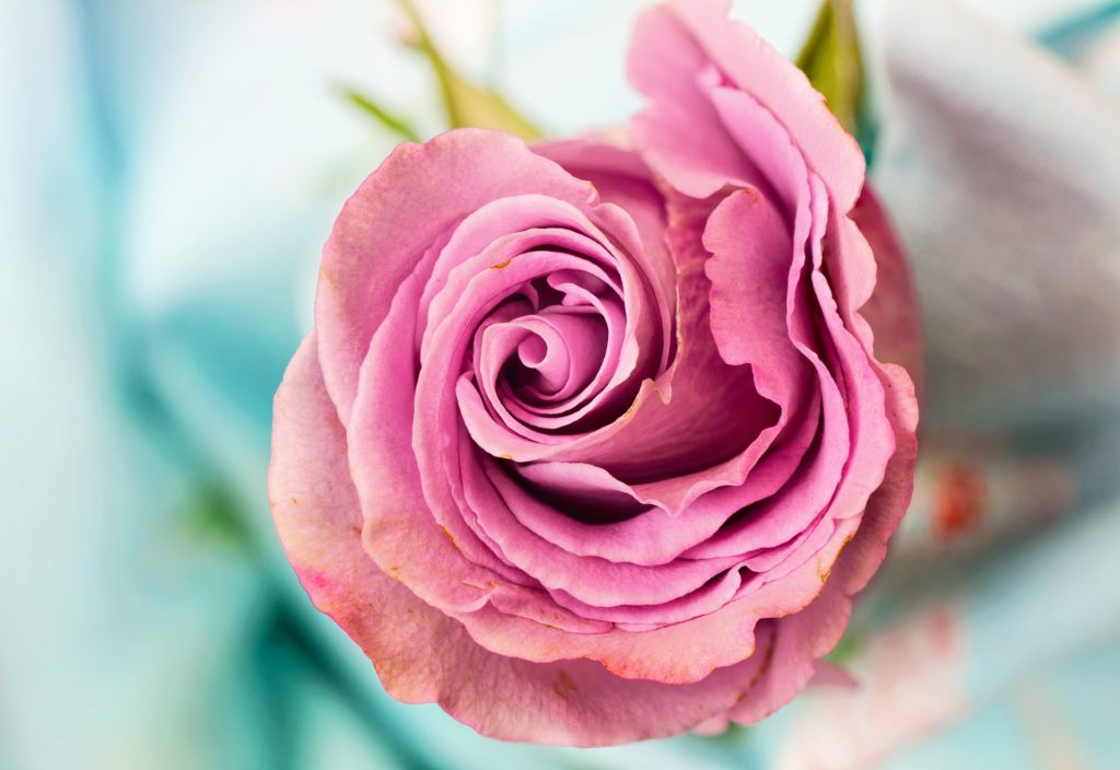 The colours of spring 2018