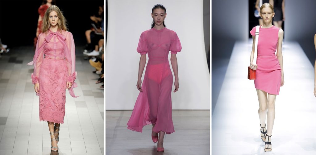 The colours of spring 2018 - rose