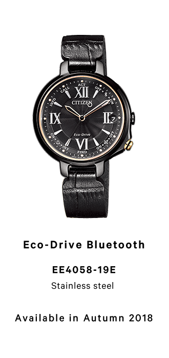 citizen 100 years anniversary EE4058-19E