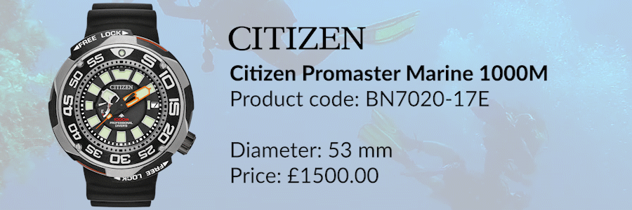 Citizen Promaster Diver - our most expensive divers watches