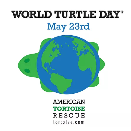 world turtle day poster