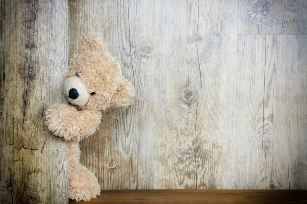 Teddy Bear