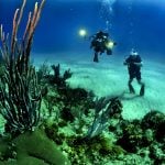 life is much better where it is wetter