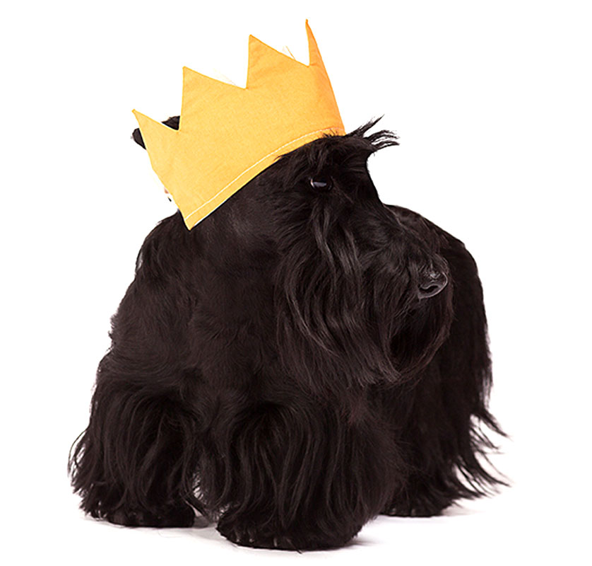 Radley Scottie Dog