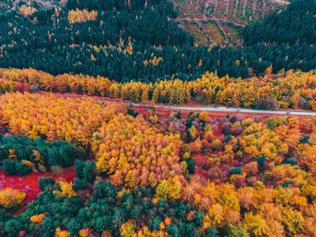 Trending Watch Colours for Autumn