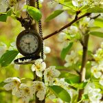 History of Daylight Saving Time