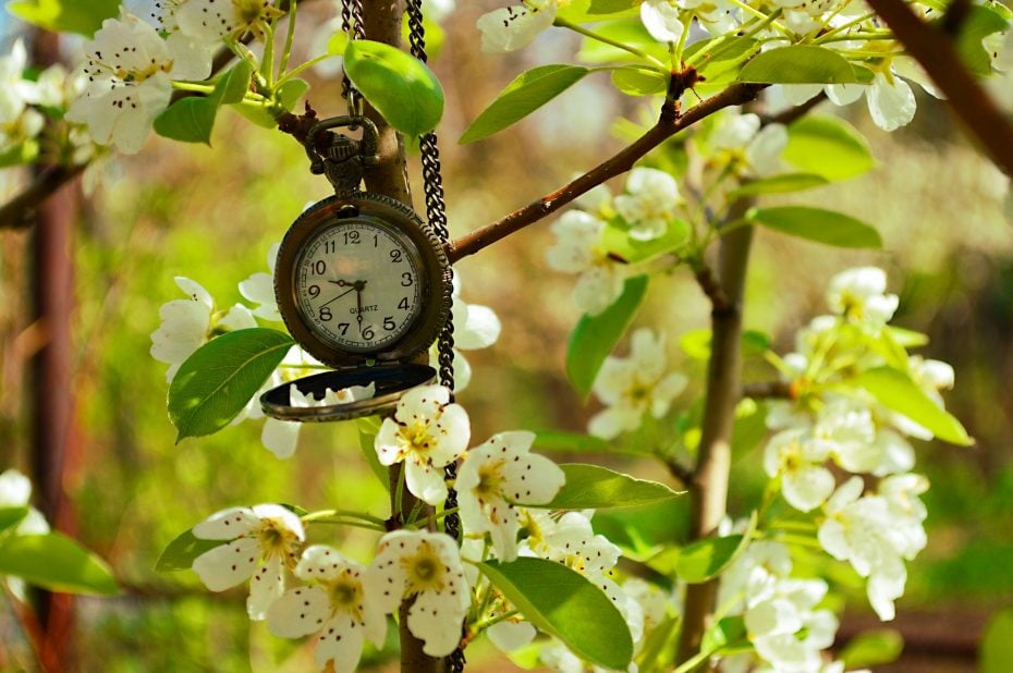 The History of Daylight Saving Why Do the Clocks Change? First Class Watches Blog