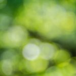 10 On-Trend Green Watches for Women 2021