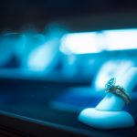 10 Interesting Facts About Aquamarine