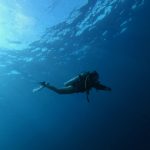 Diving Certified Water Resistant Watches