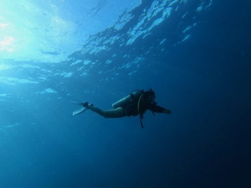 Diving Certified Water Resistant Watches