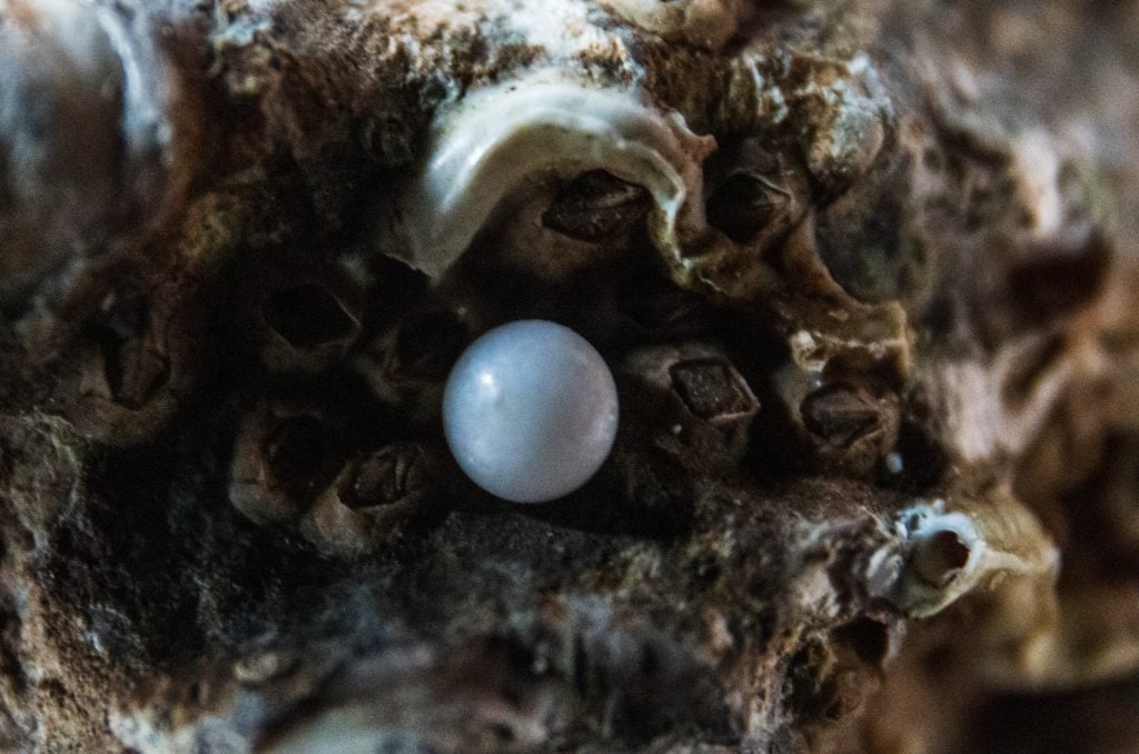 10 Interesting Facts About Pearls