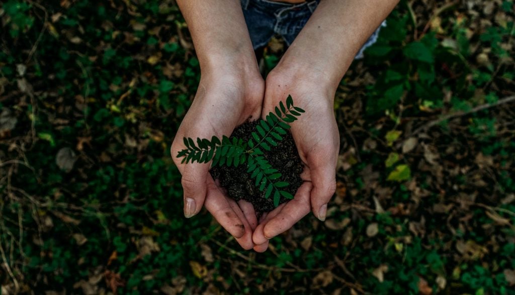 Top 10 Eco-Friendly Watches 2021