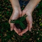 Top 10 Eco-Friendly Watches 2021