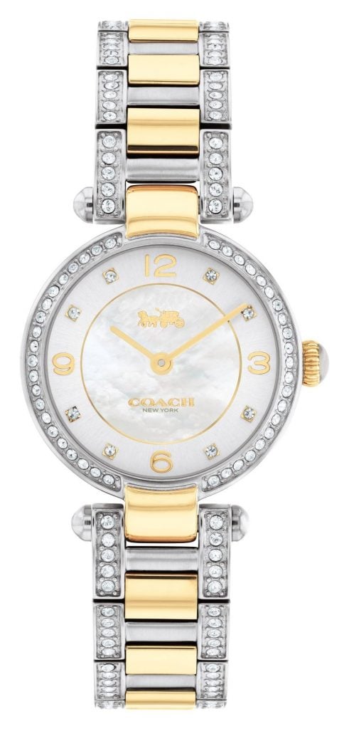 Two Tone Watch Recommendations for 2021
