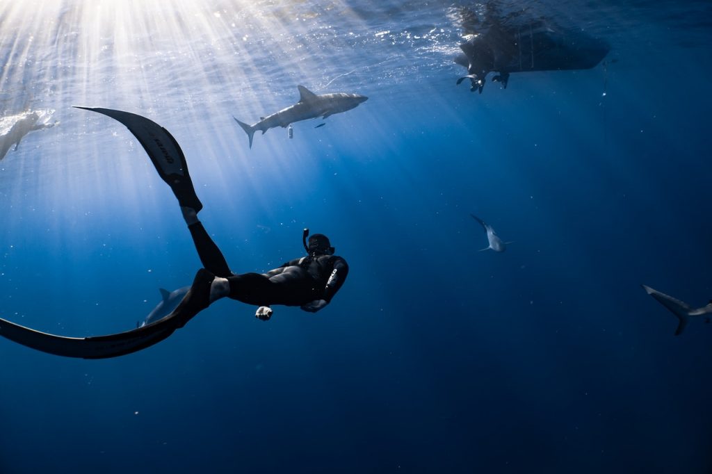 10 Interesting Facts About Diving Watches