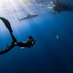 10 Interesting Facts About Diving Watches