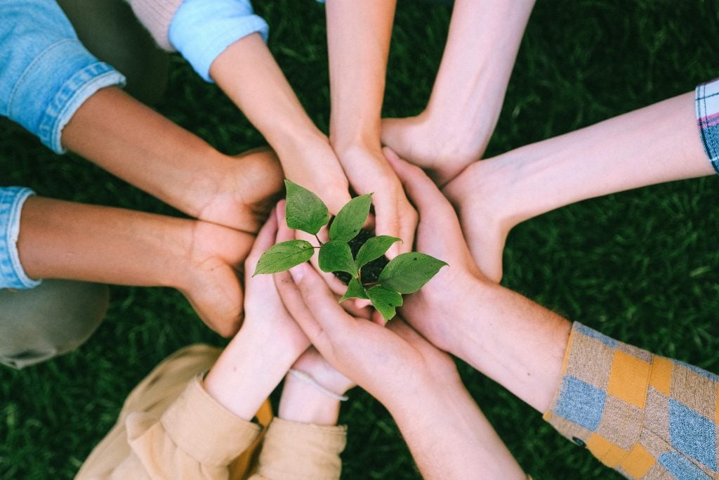 Must-Have Eco-Friendly Watches