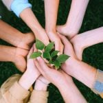 Must-Have Eco-Friendly Watches