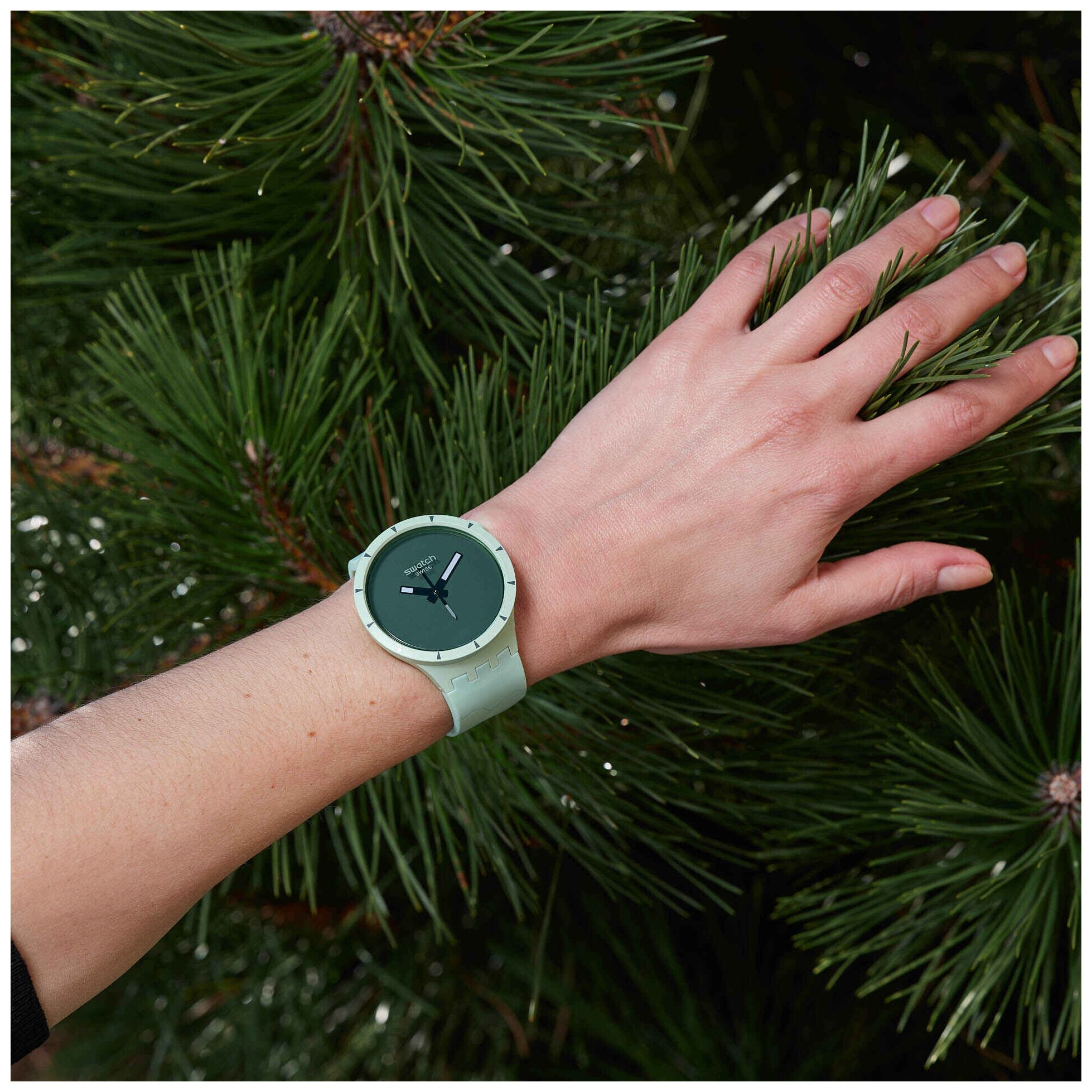 All-New Swatch Colours of Nature Watches