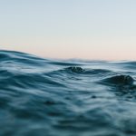 #tide Watches for World Ocean Day