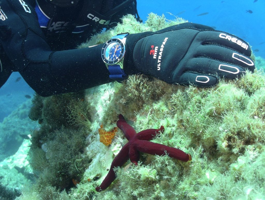 Deep Dive into Squale