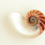 Top 5 Women's Mother-of-Pearl Watches