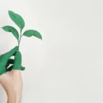 Best Sustainable Watches for 2023
