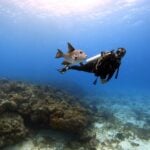5 Ways to Wear Diver's Watches