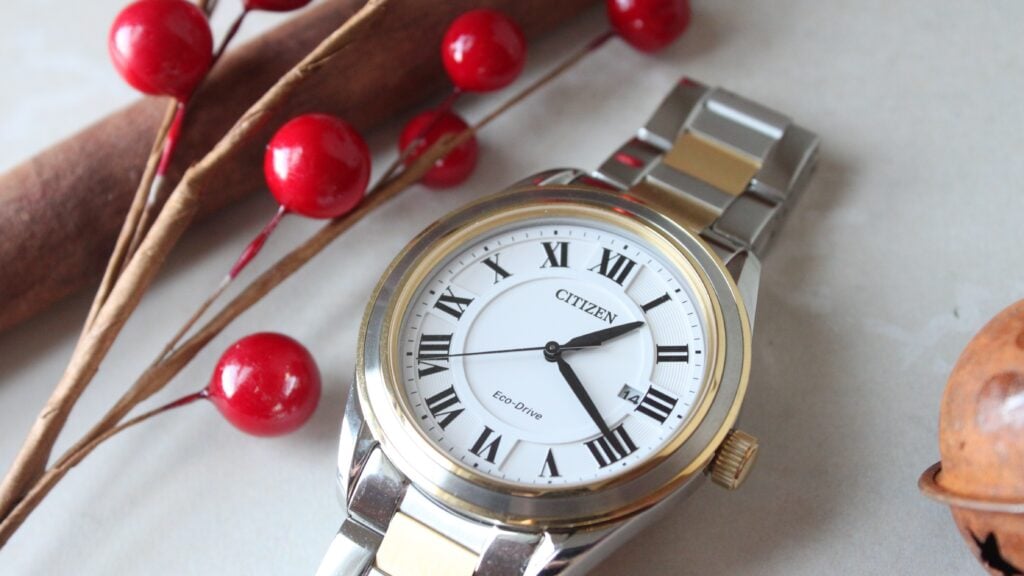Which Citizen Watch Should I Gift for Christmas?
