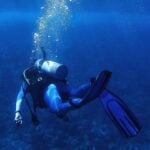 Watches 101: What is a Diver’s Watch?