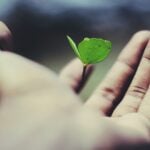 Best Sustainable Watch Brands for 2024