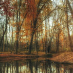 Time for Autumn: Watches for Men