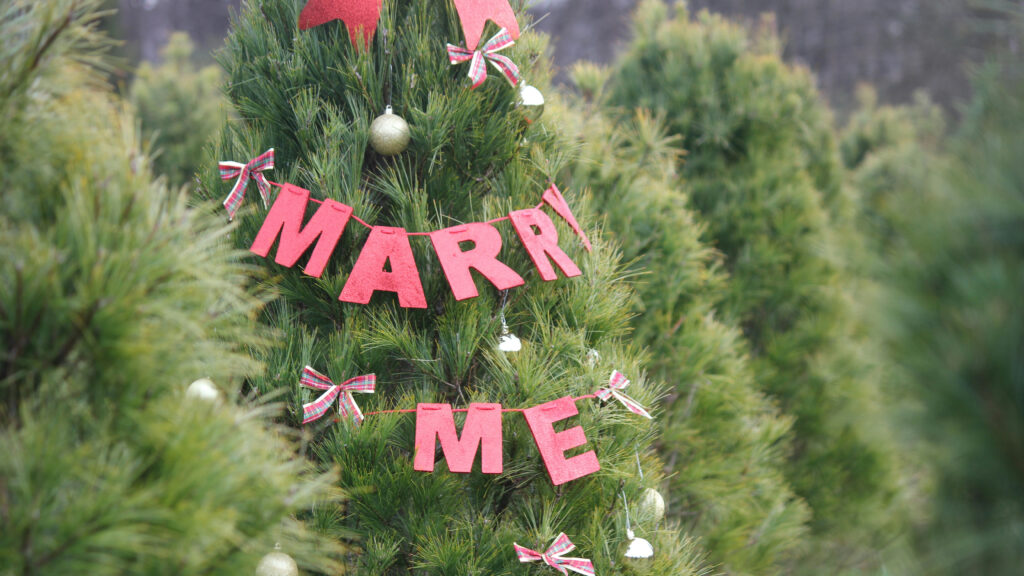 The Pros and Cons of a Christmas Proposal