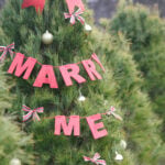 The Pros and Cons of a Christmas Proposal