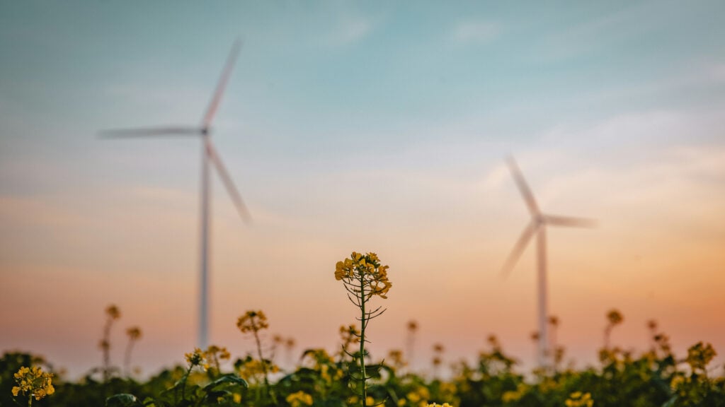 Best eco friendly bamboo chopping board UK? - Deer & Oak