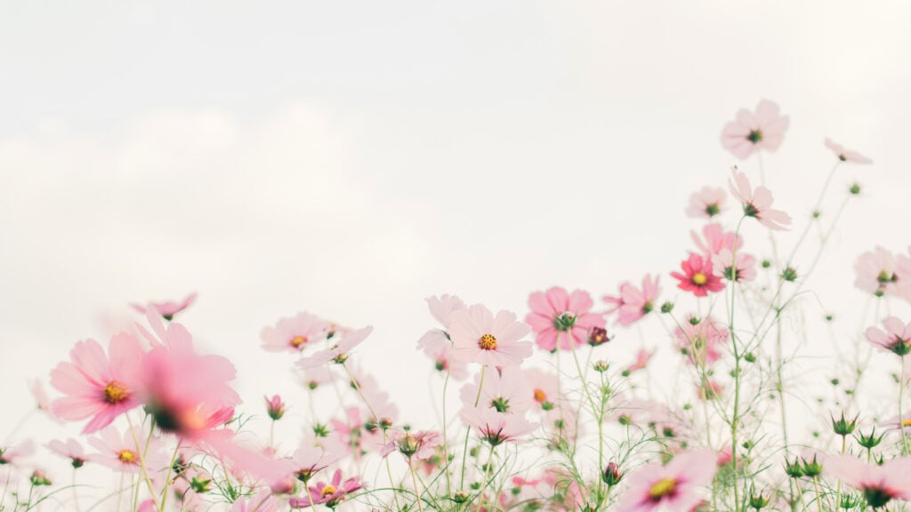 Flower-Themed Watches for Spring