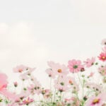 Flower-Themed Watches for Spring
