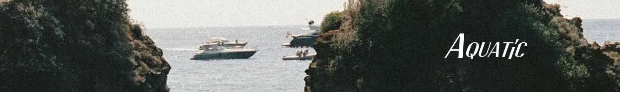 Htd aquatìc watches