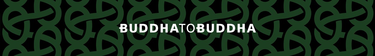 Buddha to buddha jewellery