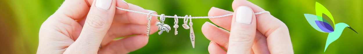 Chamilia charms bracelets